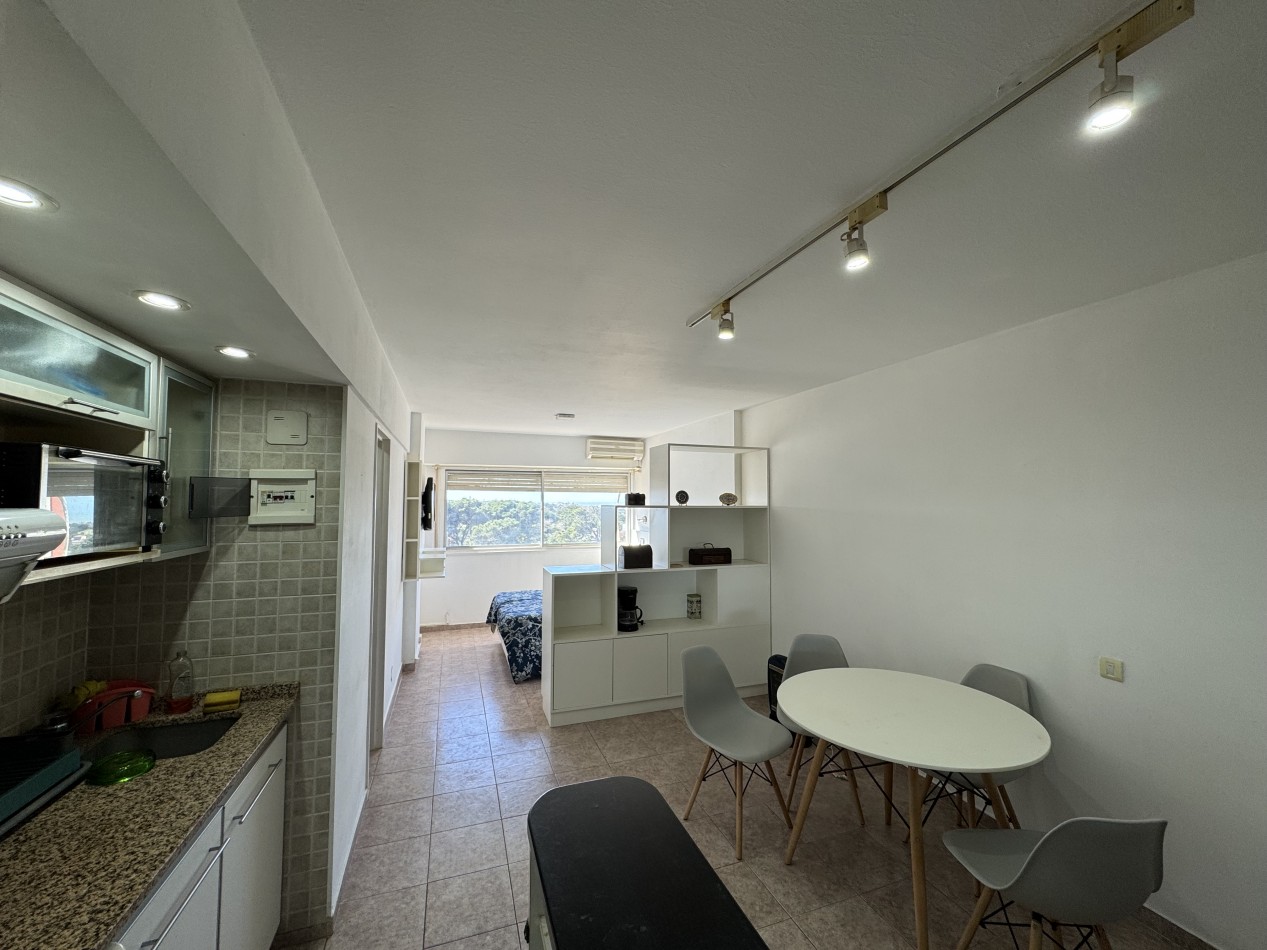 Punta Medanos 1 Piso 10